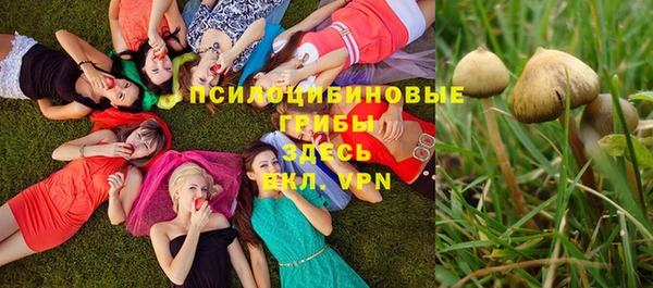 марки nbome Алексеевка