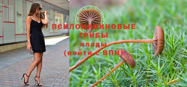 таблы Абинск