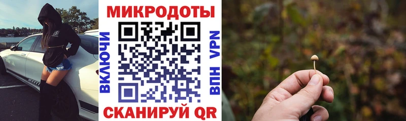 Псилоцибиновые грибы прущие грибы Вытегра